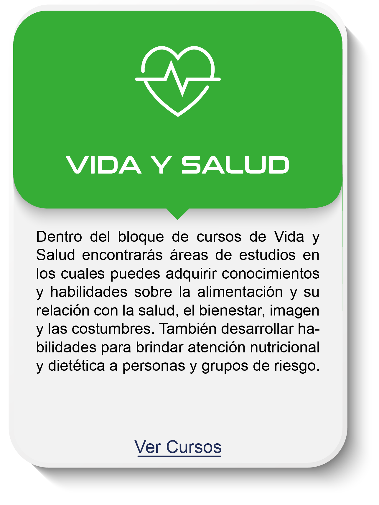 Vida y Salud